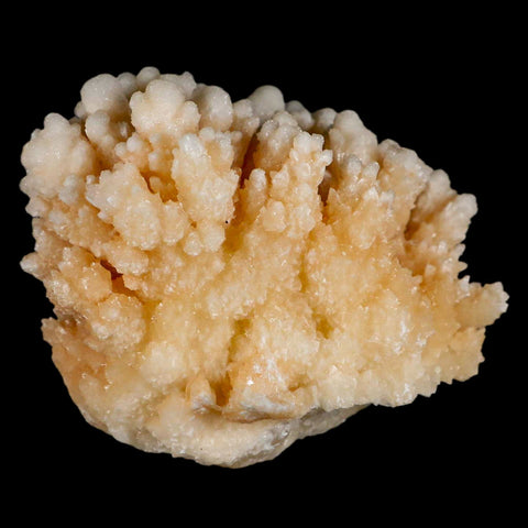 3.6" Botryoidal Aragonite Cave Calcite Crystal Cluster Mineral Specimen Morocco - Fossil Age Minerals