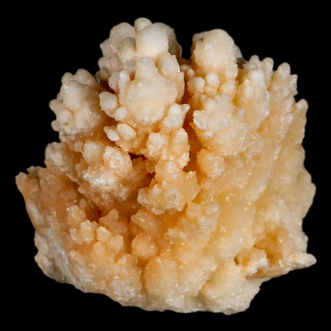 3.6" Botryoidal Aragonite Cave Calcite Crystal Cluster Mineral Specimen Morocco - Fossil Age Minerals
