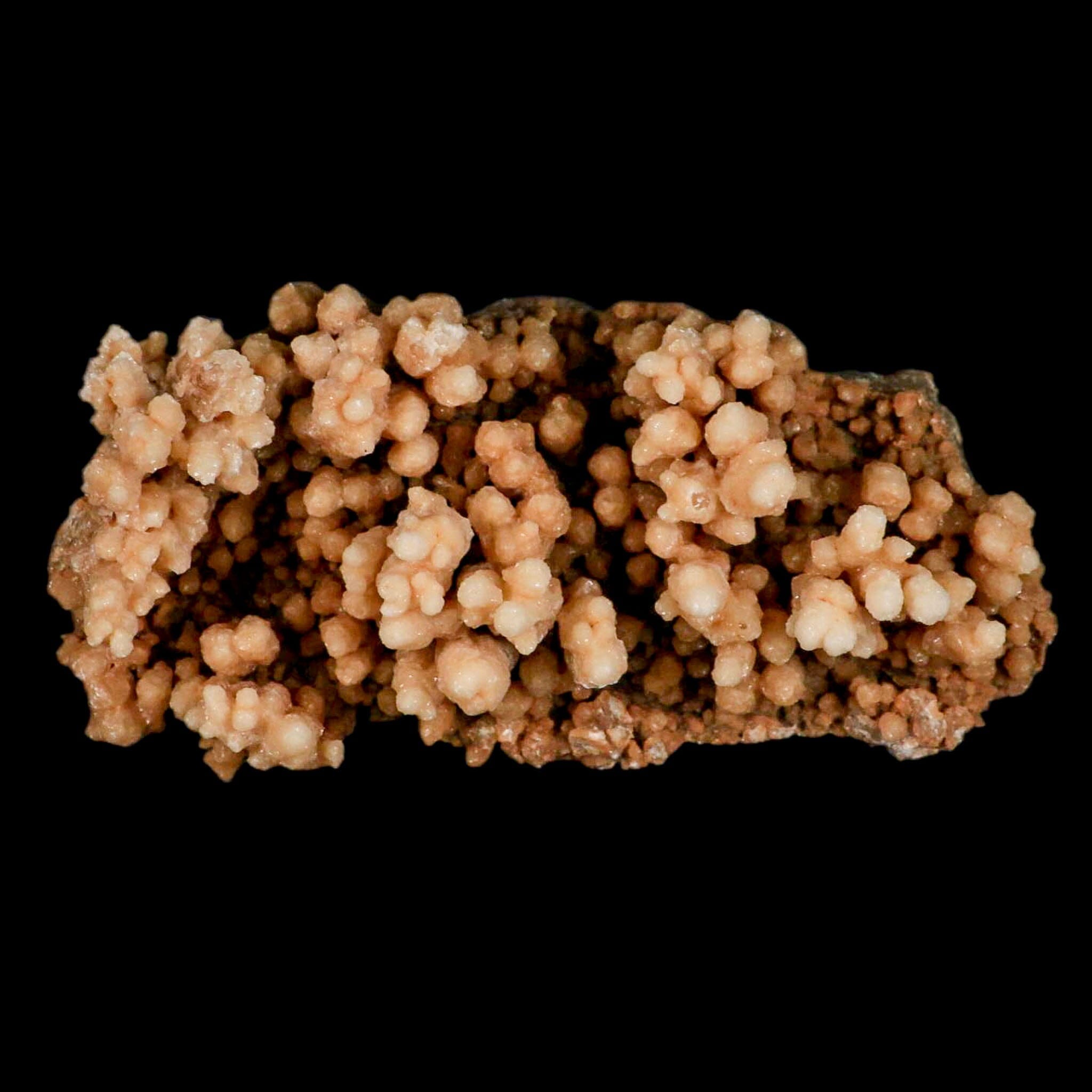 5.3" Botryoidal Aragonite Cave Calcite Crystal Cluster Mineral Specimen Morocco - Fossil Age Minerals