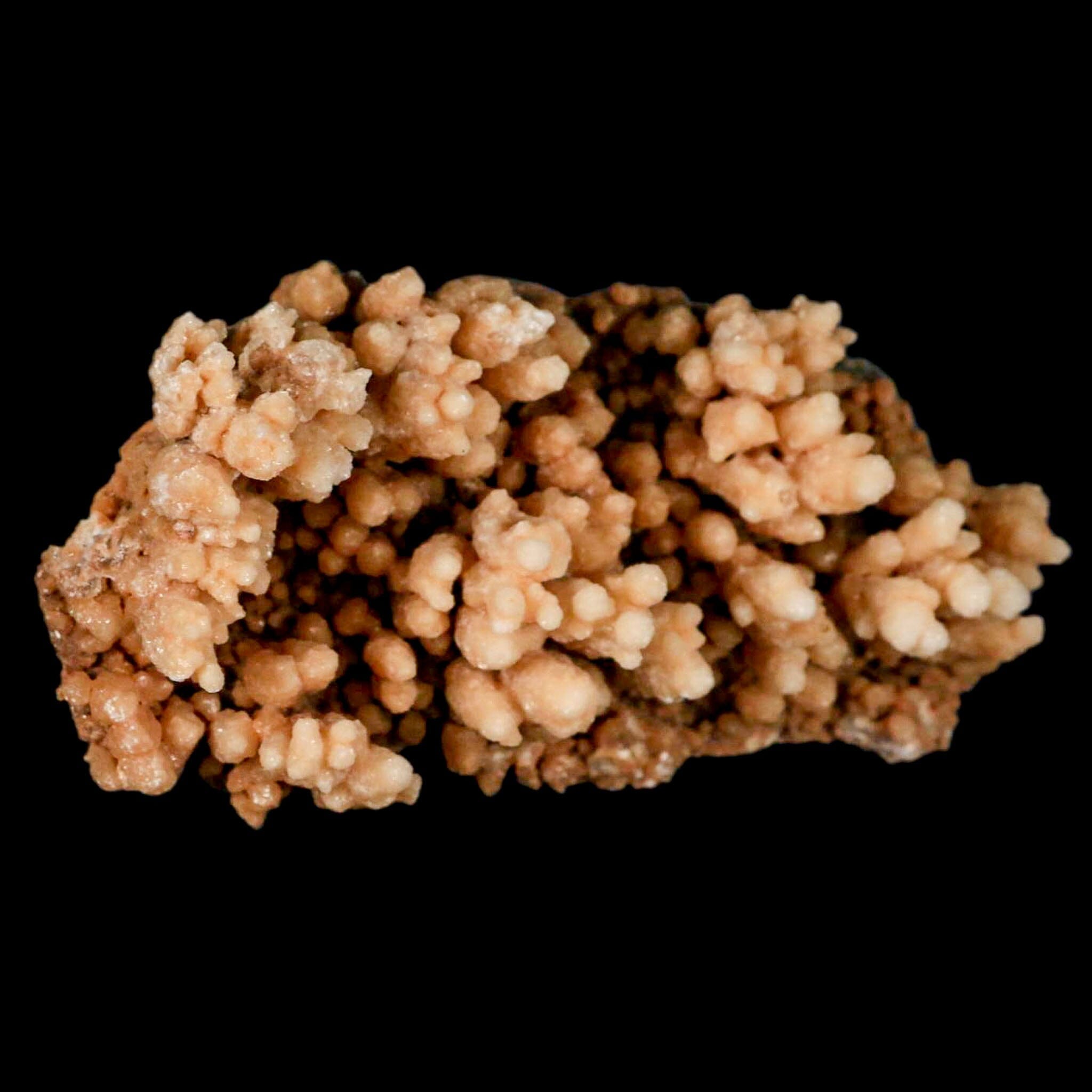 5.3" Botryoidal Aragonite Cave Calcite Crystal Cluster Mineral Specimen Morocco - Fossil Age Minerals