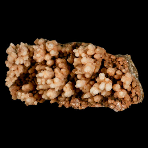 5.3" Botryoidal Aragonite Cave Calcite Crystal Cluster Mineral Specimen Morocco - Fossil Age Minerals
