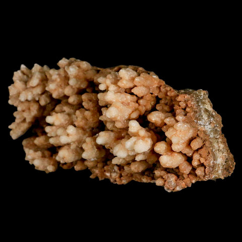 5.3" Botryoidal Aragonite Cave Calcite Crystal Cluster Mineral Specimen Morocco - Fossil Age Minerals