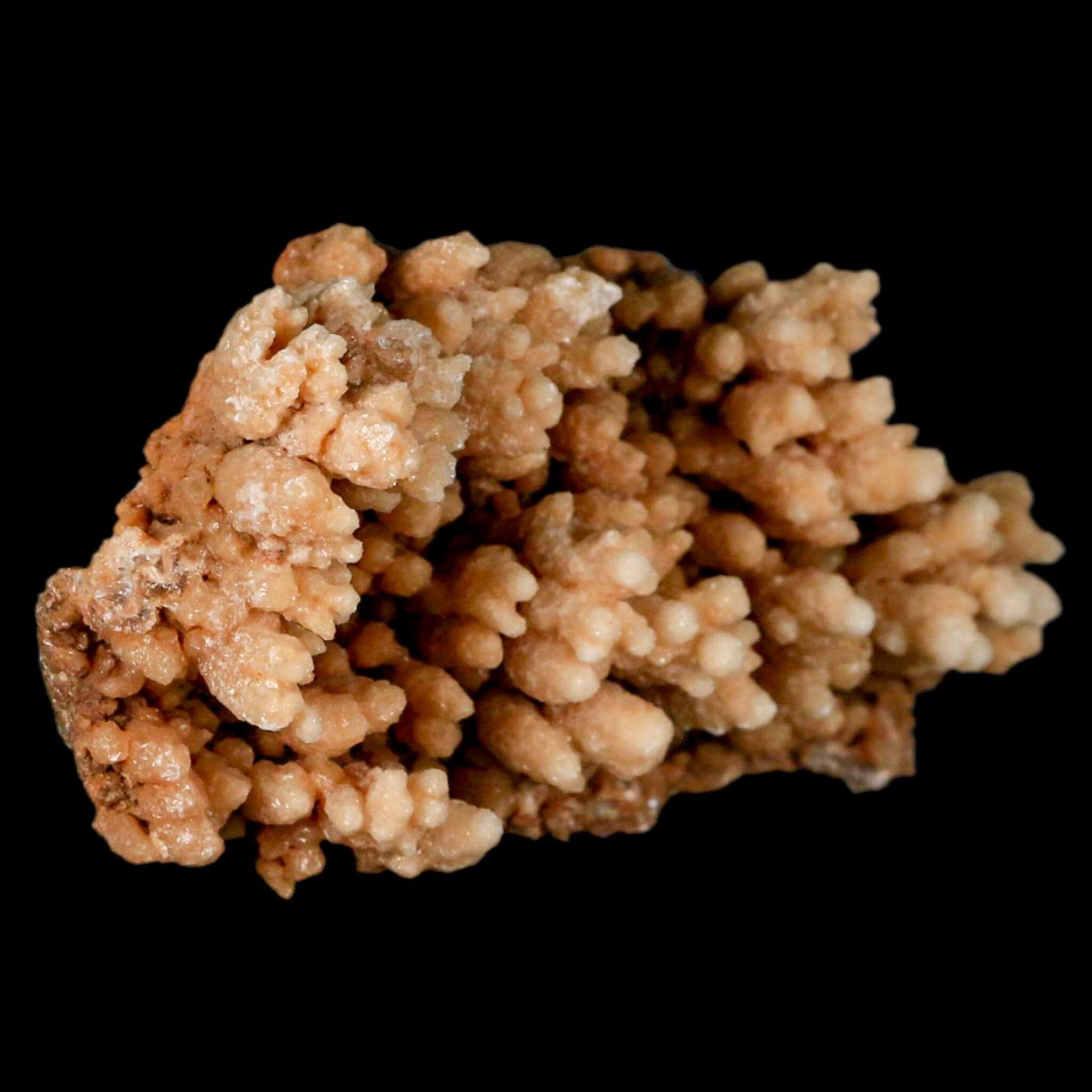 5.3" Botryoidal Aragonite Cave Calcite Crystal Cluster Mineral Specimen Morocco - Fossil Age Minerals