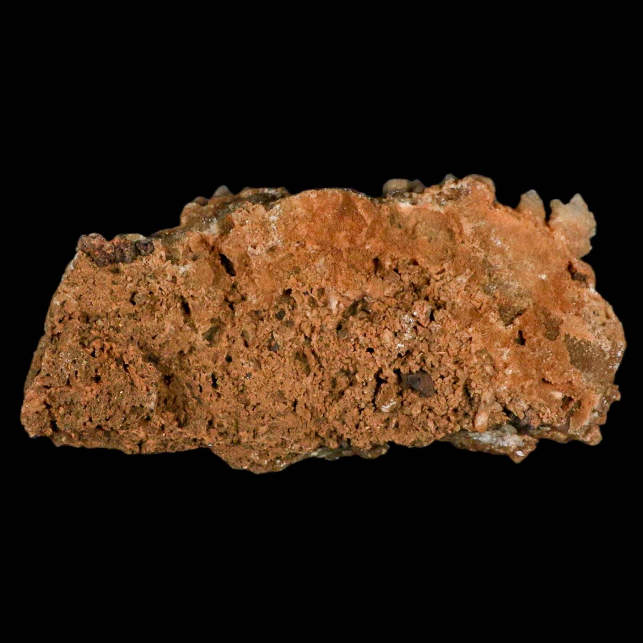 5.3" Botryoidal Aragonite Cave Calcite Crystal Cluster Mineral Specimen Morocco - Fossil Age Minerals