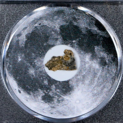 Moon Rock Lunar Meteorite Bechar 003 Algerian Sahara Desert Discovered 2022 COA - Fossil Age Minerals