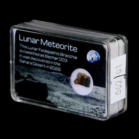 Moon Rock Lunar Meteorite Bechar 003 Algerian Sahara Desert Discovered 2022 - Fossil Age Minerals