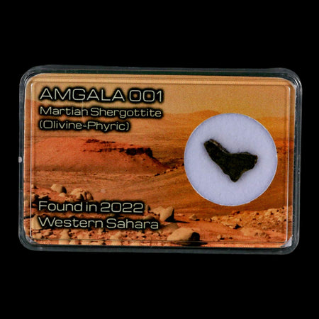 Mars Rock Martian Meteorite Amgala 001 Shergottite Olivine-Phyric Display