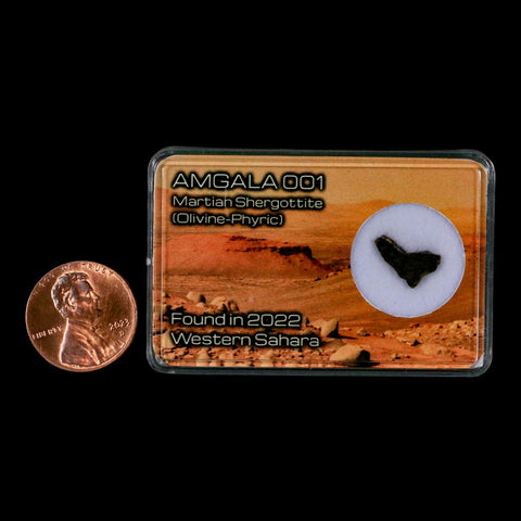 Mars Rock Martian Meteorite Amgala 001 Shergottite Olivine-Phyric Display - Fossil Age Minerals