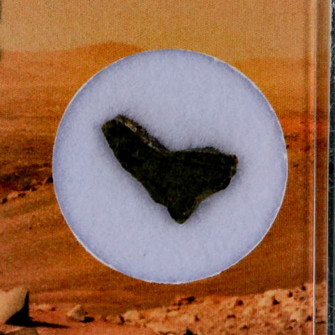 Mars Rock Martian Meteorite Amgala 001 Shergottite Olivine-Phyric Display - Fossil Age Minerals