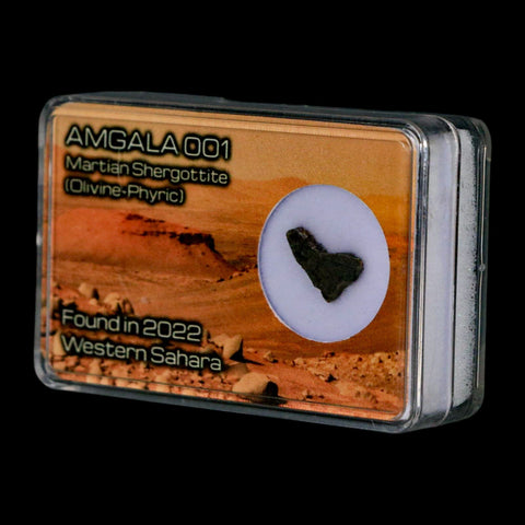 Mars Rock Martian Meteorite Amgala 001 Shergottite Olivine-Phyric Display - Fossil Age Minerals