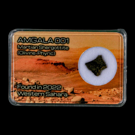 Mars Rock Martian Meteorite Amgala 001 Shergottite Olivine-Phyric Display