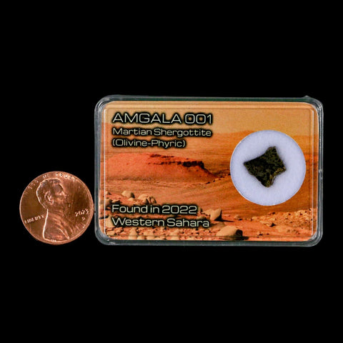Mars Rock Martian Meteorite Amgala 001 Shergottite Olivine-Phyric Display - Fossil Age Minerals