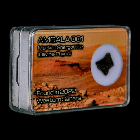 Mars Rock Martian Meteorite Amgala 001 Shergottite Olivine-Phyric Display - Fossil Age Minerals