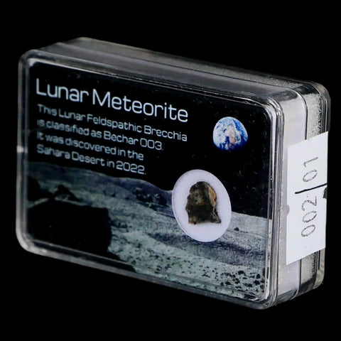 Moon Rock Lunar Meteorite Bechar 003 Algerian Sahara Desert Discovered 2022 - Fossil Age Minerals