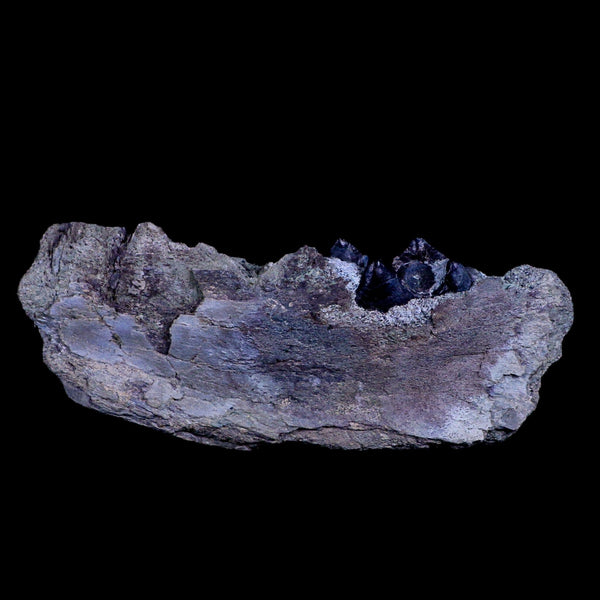6.5