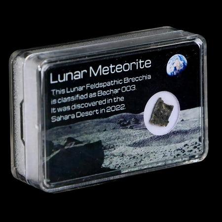 Moon Rock Lunar Meteorite Bechar 003 Algerian Sahara Desert Discovered 2022