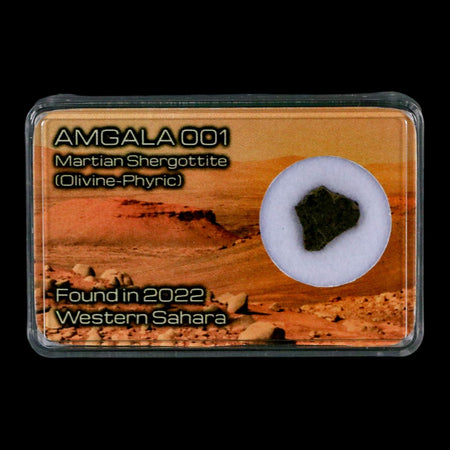 Mars Rock Martian Meteorite Amgala 001 Shergottite Olivine-Phyric Display