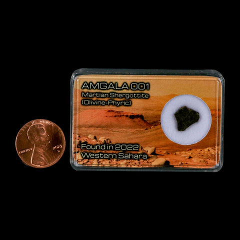 Mars Rock Martian Meteorite Amgala 001 Shergottite Olivine-Phyric Display - Fossil Age Minerals