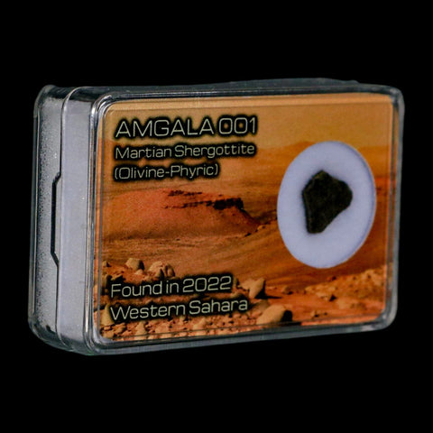 Mars Rock Martian Meteorite Amgala 001 Shergottite Olivine-Phyric Display - Fossil Age Minerals