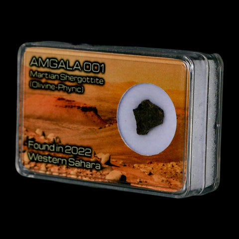 Mars Rock Martian Meteorite Amgala 001 Shergottite Olivine-Phyric Display - Fossil Age Minerals