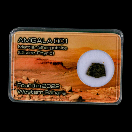 Mars Rock Martian Meteorite Amgala 001 Shergottite Olivine-Phyric Display