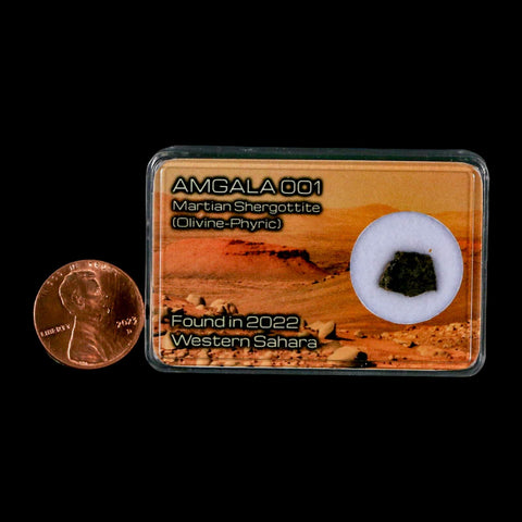 Mars Rock Martian Meteorite Amgala 001 Shergottite Olivine-Phyric Display - Fossil Age Minerals
