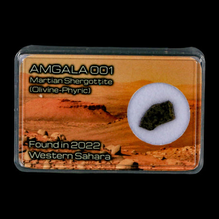 Mars Rock Martian Meteorite Amgala 001 Shergottite Olivine-Phyric Display
