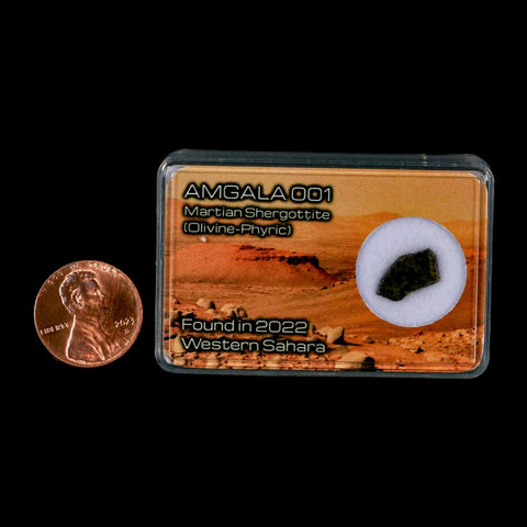 Mars Rock Martian Meteorite Amgala 001 Shergottite Olivine-Phyric Display - Fossil Age Minerals