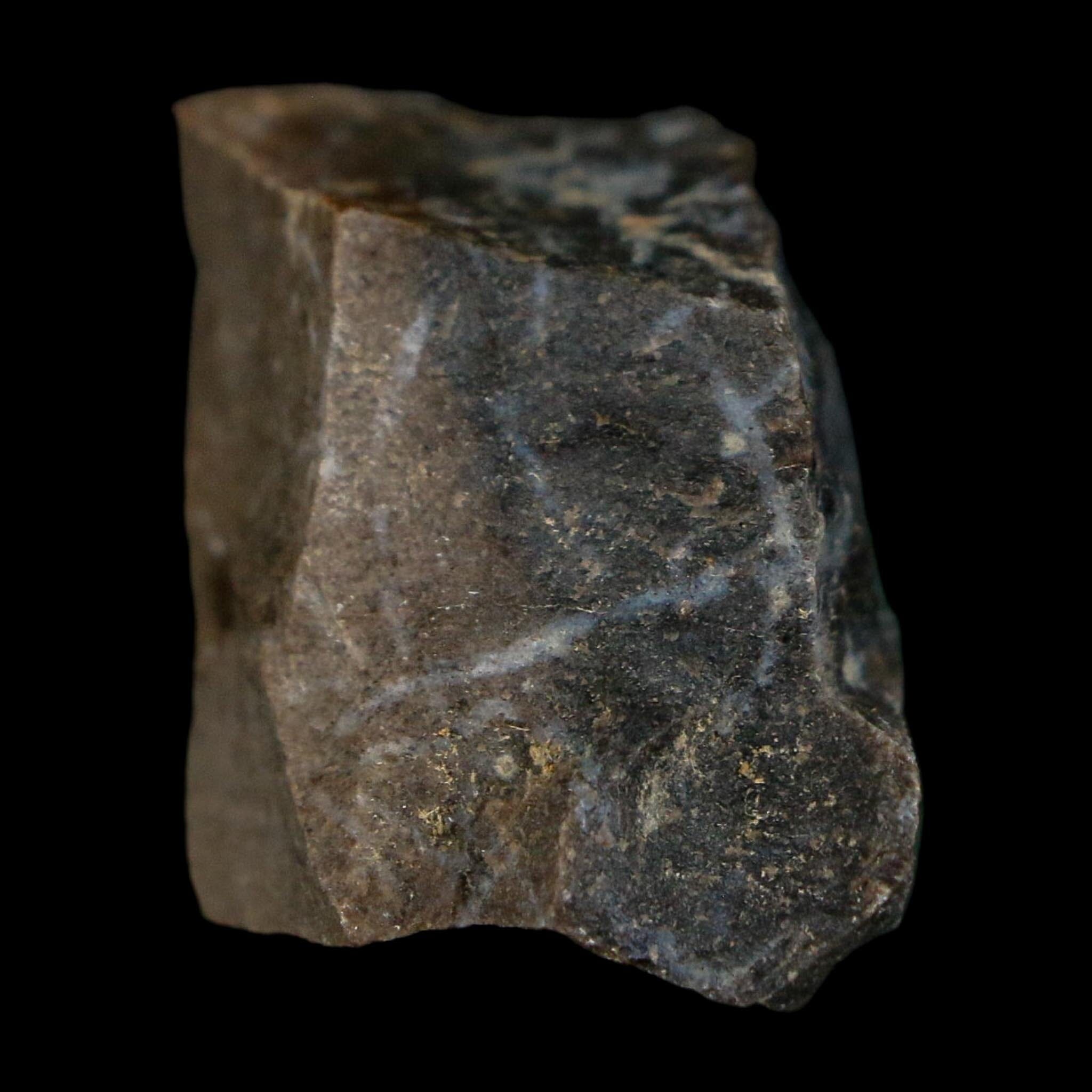 0.9" Tyrannosaurus Rex Fossil Bone Dinosaur Lance Creek Formation Wyoming COA - Fossil Age Minerals