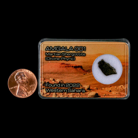 Mars Rock Martian Meteorite Amgala 001 Shergottite Olivine-Phyric Display - Fossil Age Minerals