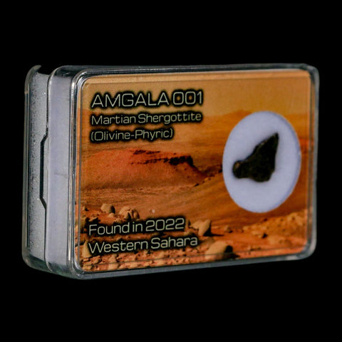 Mars Rock Martian Meteorite Amgala 001 Shergottite Olivine-Phyric Display - Fossil Age Minerals