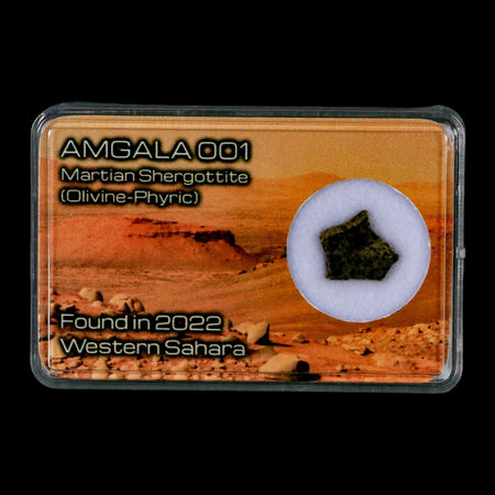 Mars Rock Martian Meteorite Amgala 001 Shergottite Olivine-Phyric Display