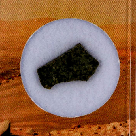 Mars Rock Martian Meteorite Amgala 001 Shergottite Olivine-Phyric Display - Fossil Age Minerals