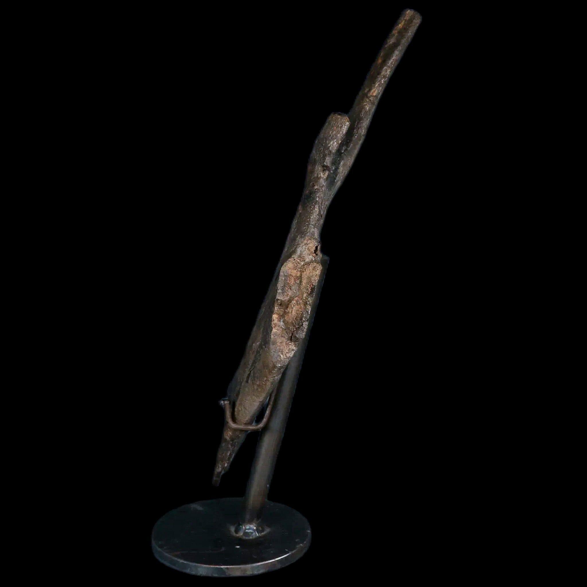 8" Juvenile Hypacrosaurus Dinosaur Fossil Pubis Two Medicine MT COA Metal Stand - Fossil Age Minerals
