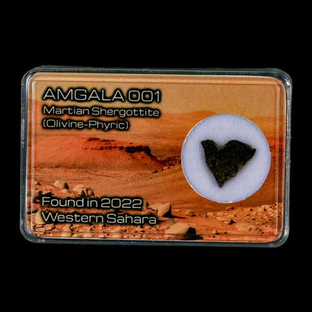 Mars Rock Martian Meteorite Amgala 001 Shergottite Olivine-Phyric Display