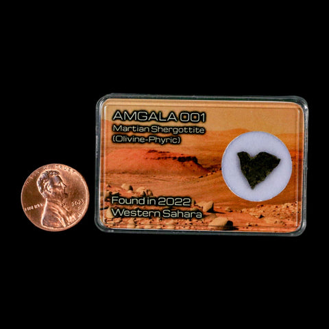 Mars Rock Martian Meteorite Amgala 001 Shergottite Olivine-Phyric Display - Fossil Age Minerals