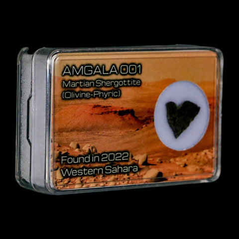 Mars Rock Martian Meteorite Amgala 001 Shergottite Olivine-Phyric Display - Fossil Age Minerals