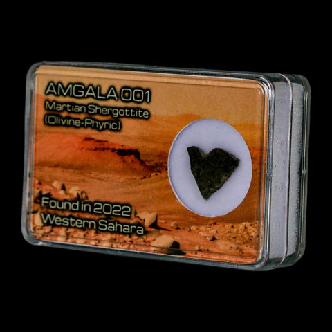 Mars Rock Martian Meteorite Amgala 001 Shergottite Olivine-Phyric Display - Fossil Age Minerals