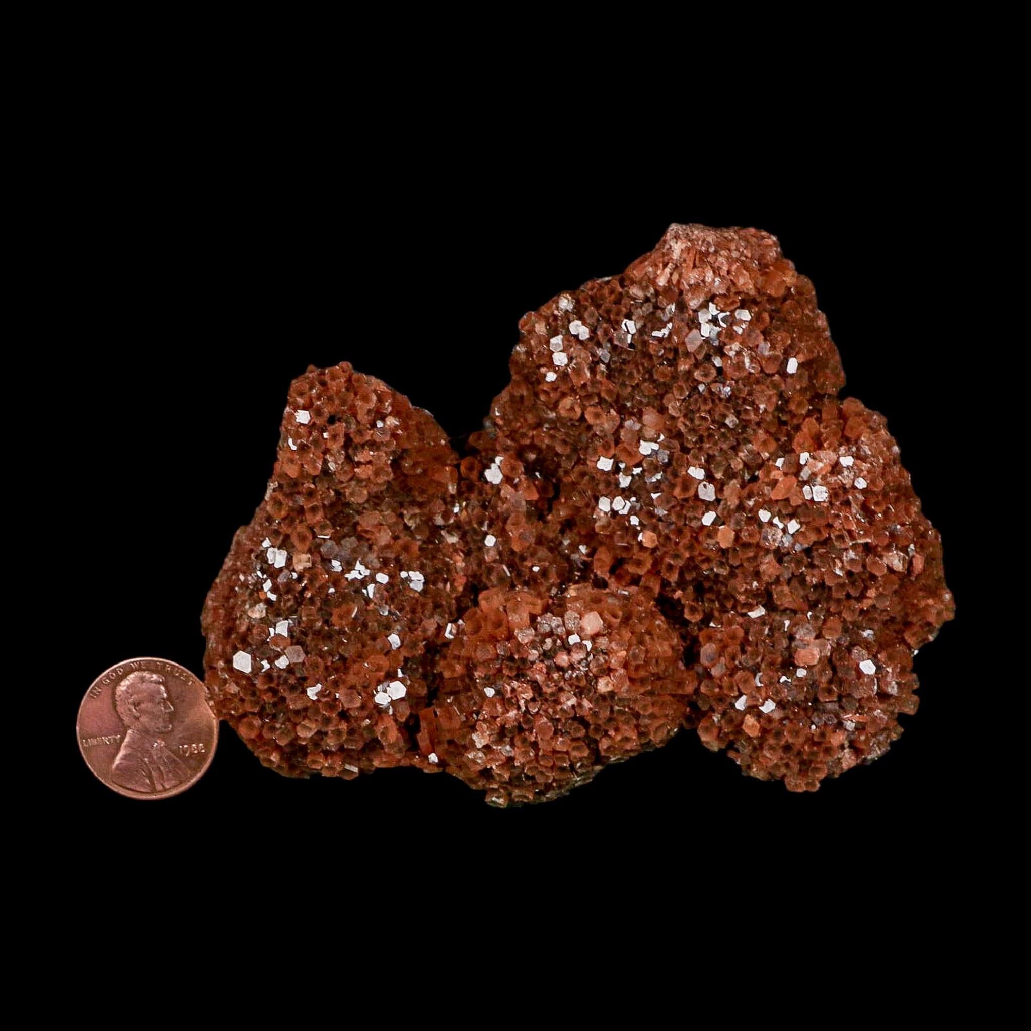 3.8" Aragonite Mineral Red Crystal Cluster Specimen Tazouta Morocco - Fossil Age Minerals