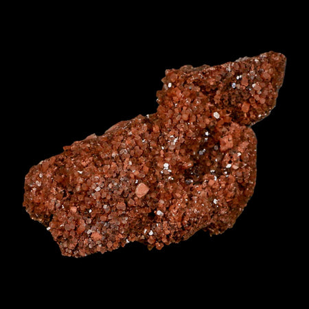 5.1" Aragonite Mineral Red Crystal Cluster Specimen Tazouta Morocco