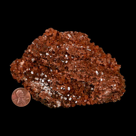 4.5" Aragonite Mineral Red Crystal Cluster Specimen Tazouta Morocco - Fossil Age Minerals