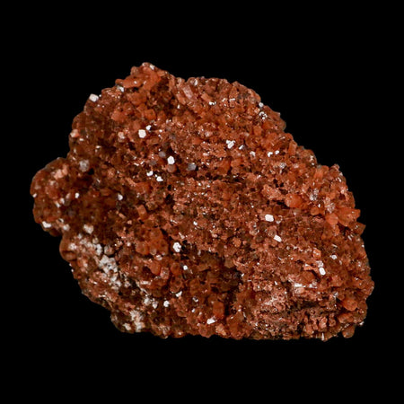 4.5" Aragonite Mineral Red Crystal Cluster Specimen Tazouta Morocco