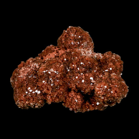 3.8" Aragonite Mineral Red Crystal Cluster Specimen Tazouta Morocco