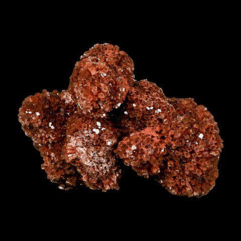 3.8" Aragonite Mineral Red Crystal Cluster Specimen Tazouta Morocco - Fossil Age Minerals