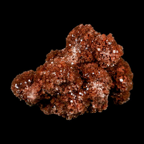 3.8" Aragonite Mineral Red Crystal Cluster Specimen Tazouta Morocco - Fossil Age Minerals
