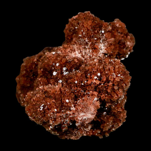 3.8" Aragonite Mineral Red Crystal Cluster Specimen Tazouta Morocco - Fossil Age Minerals