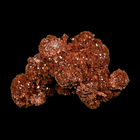 4.8" Aragonite Mineral Red Crystal Cluster Specimen Tazouta Morocco