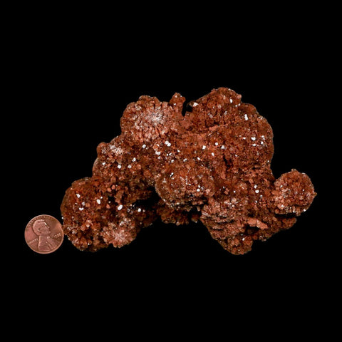 4.8" Aragonite Mineral Red Crystal Cluster Specimen Tazouta Morocco - Fossil Age Minerals