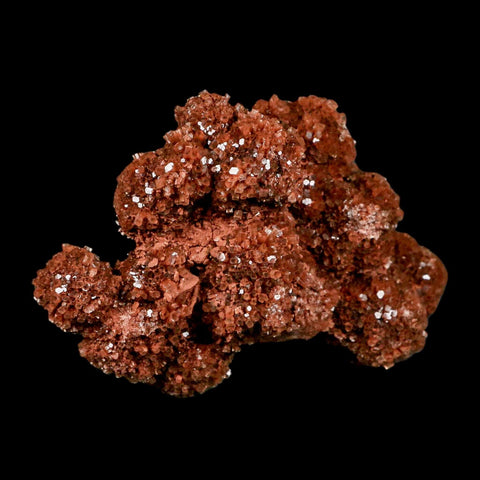 4.8" Aragonite Mineral Red Crystal Cluster Specimen Tazouta Morocco - Fossil Age Minerals