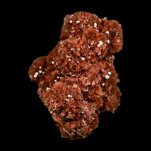 4.8" Aragonite Mineral Red Crystal Cluster Specimen Tazouta Morocco - Fossil Age Minerals